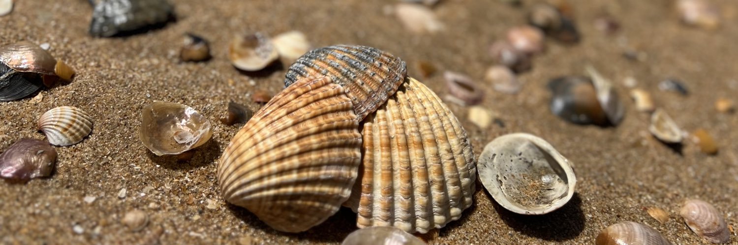 Jackson Luz  banner