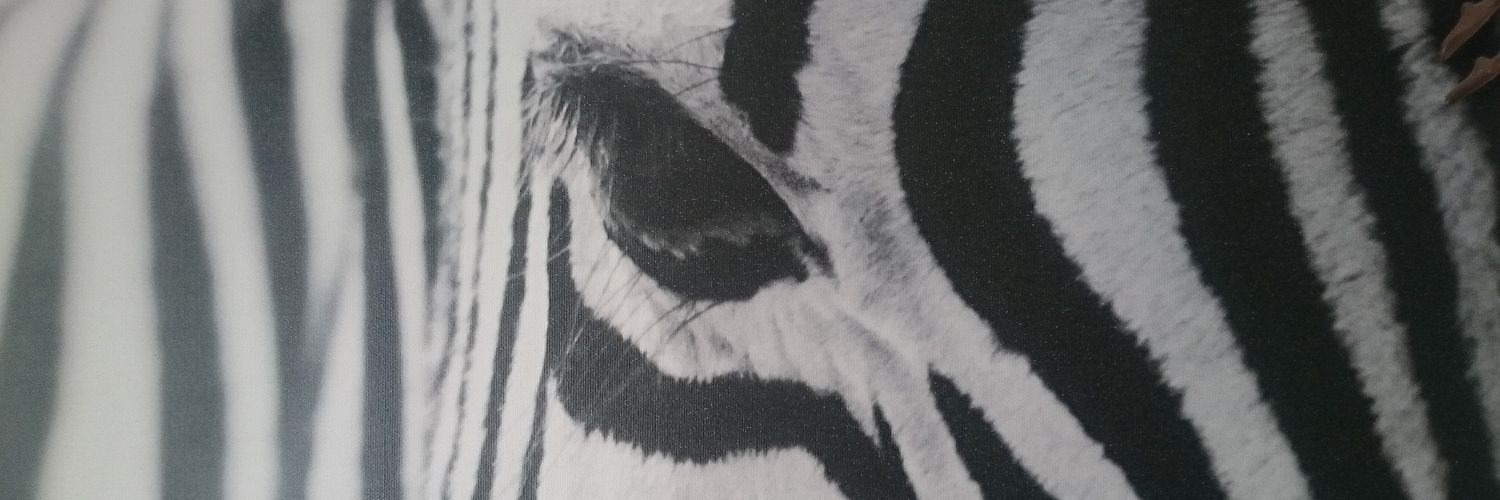 JanaGeBe's profile banner image