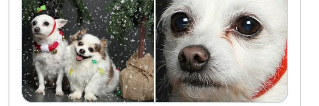 twitintheloop's profile banner image