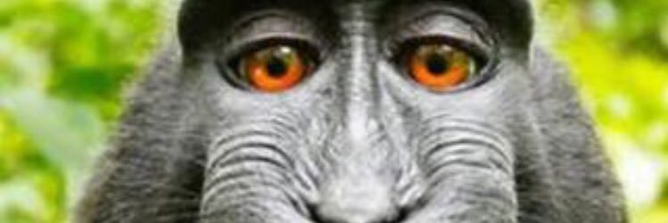 bauerpower94's profile banner image