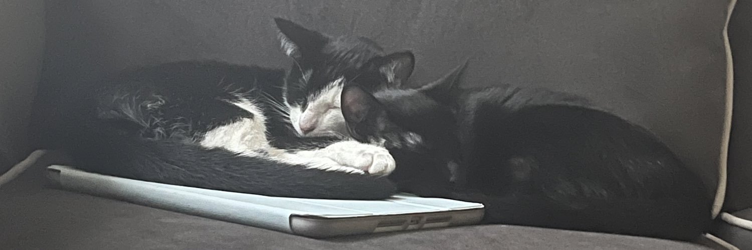 FrannyWapp's profile banner image