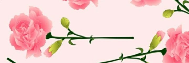 ThuannyBenicio1's profile banner image