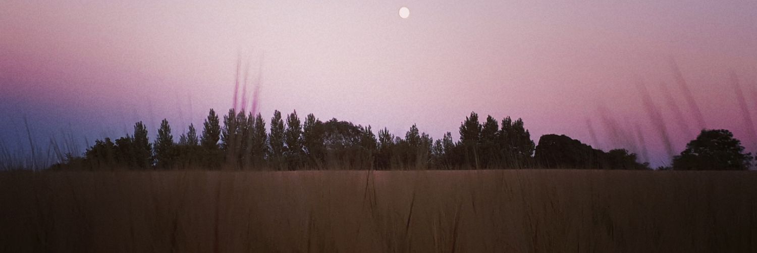 riawalsh17's profile banner image