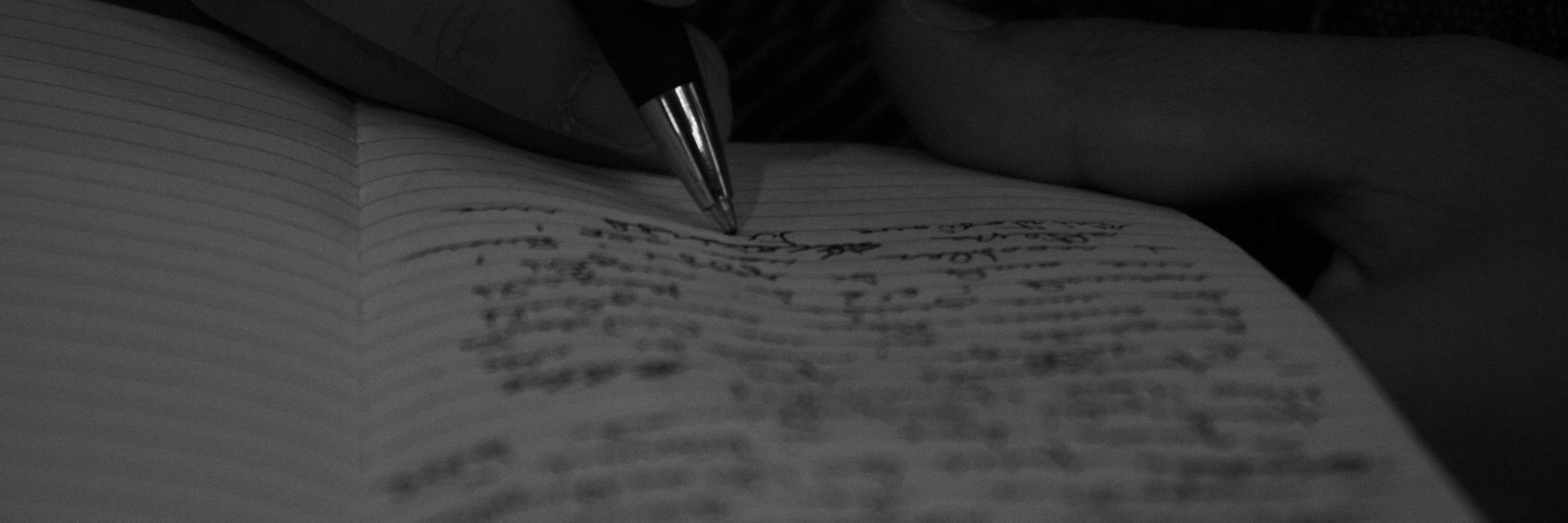 MarcoApolloni's profile banner image