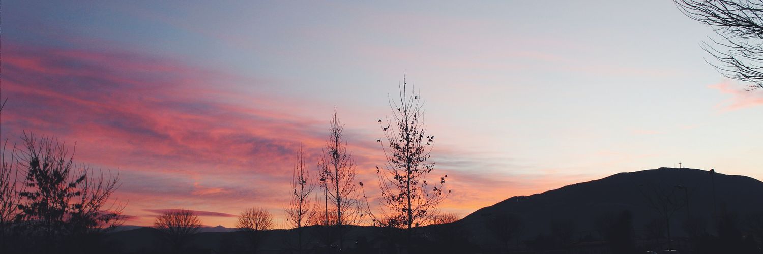 flaminsheilaa's profile banner image