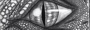 Jacobite79's profile banner image