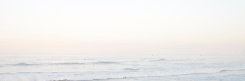 liucijaIB's profile banner image
