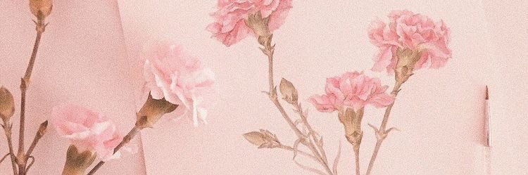 targarvdylan's profile banner image