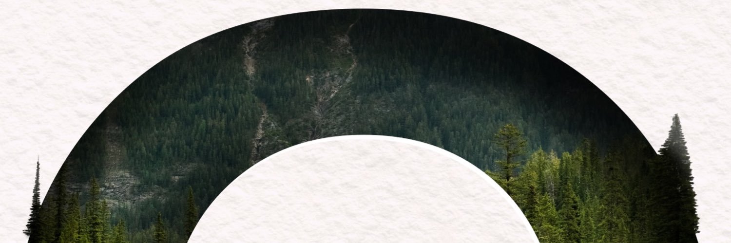 IrenaTaran's profile banner image