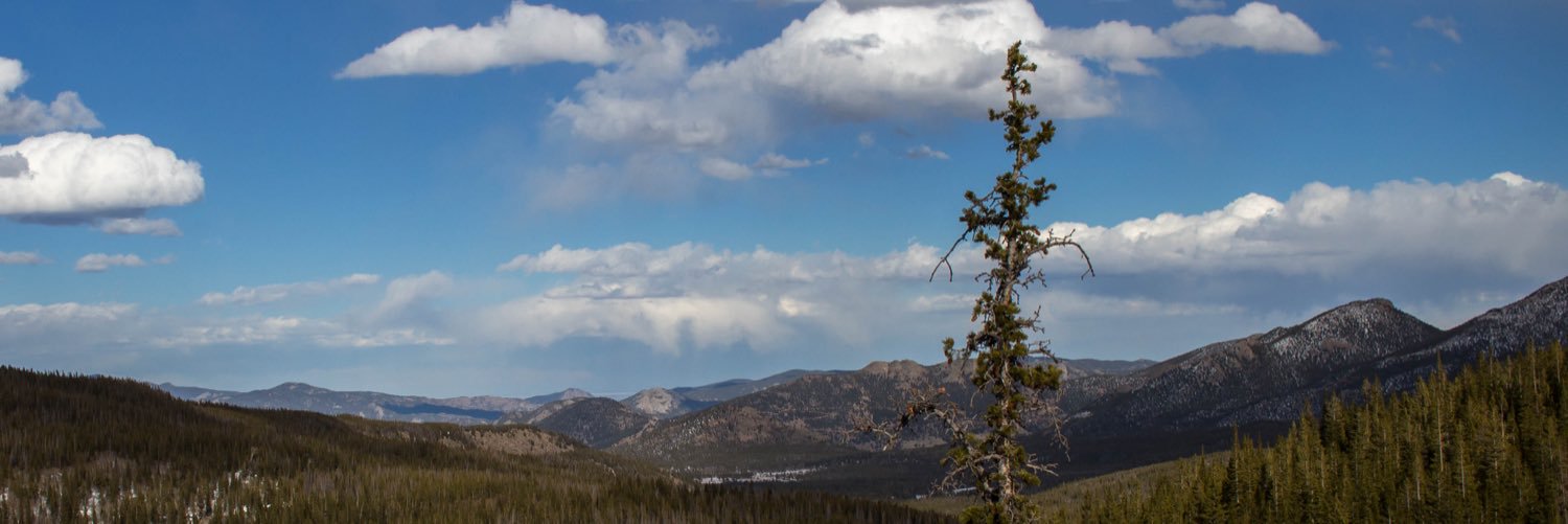 MBender21's profile banner image