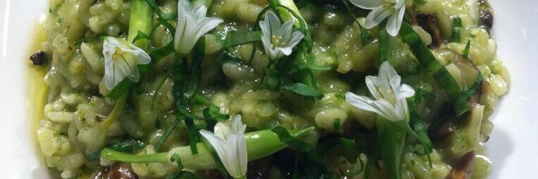 hartleyskitchen's profile banner image
