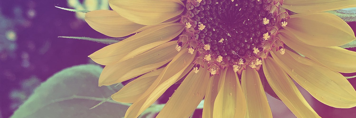patytuchi's profile banner image