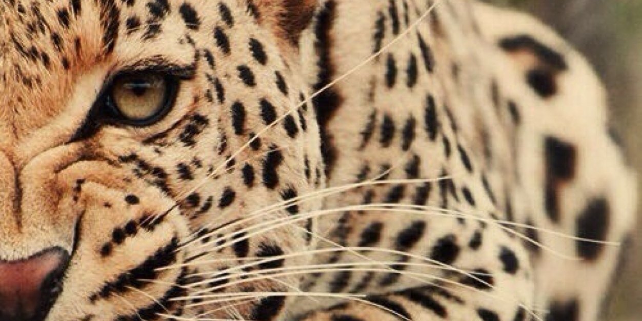 SGasdick's profile banner image