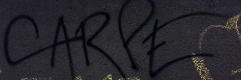 Carpe Noctem banner