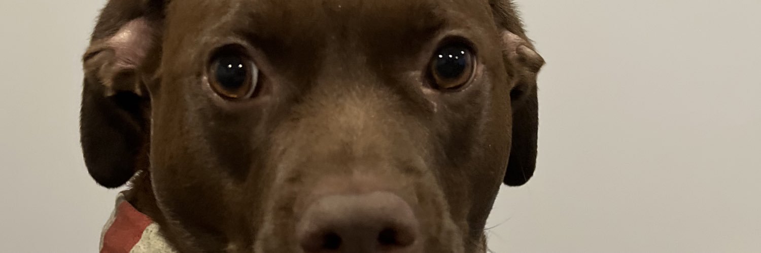 AaronArovits's profile banner image