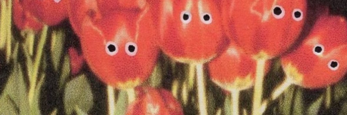 DTumps's profile banner image
