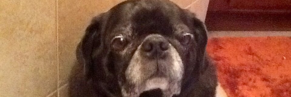 K banner