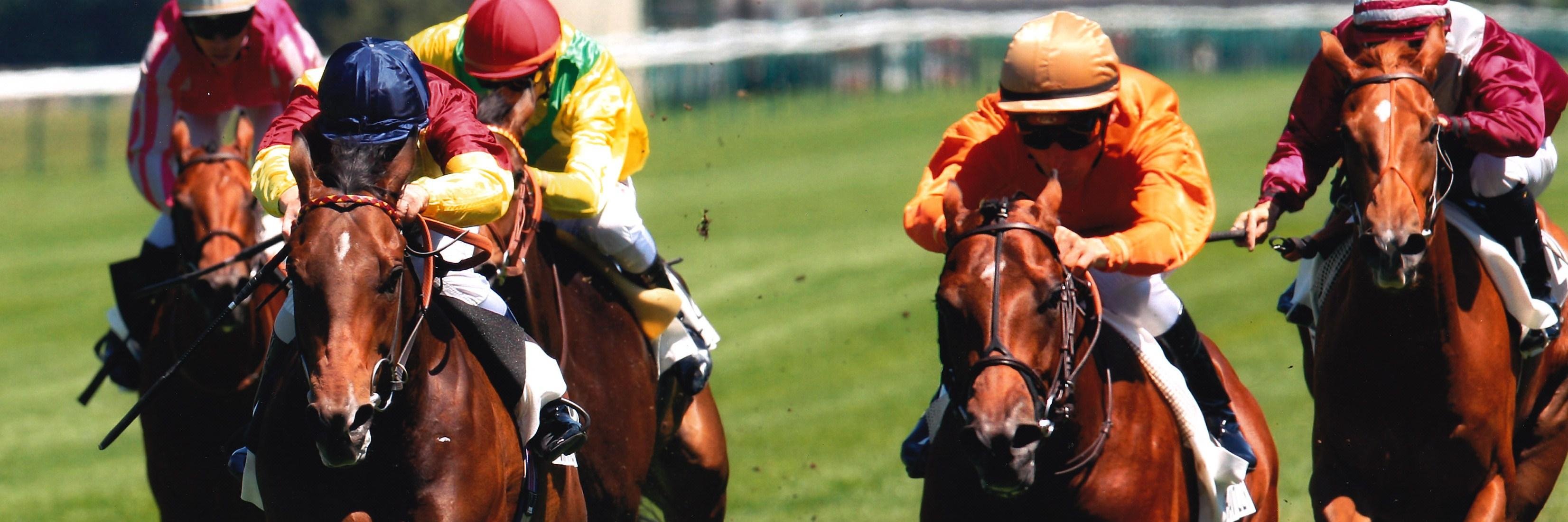 François Dufaut banner