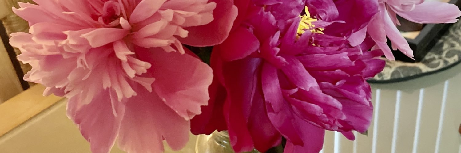 jufran22's profile banner image