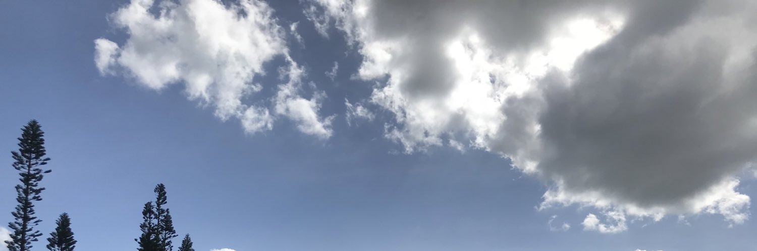 maimuAC's profile banner image