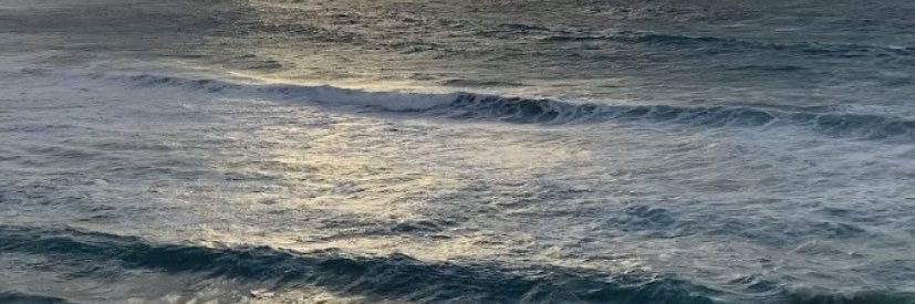 Silviqueca's profile banner image