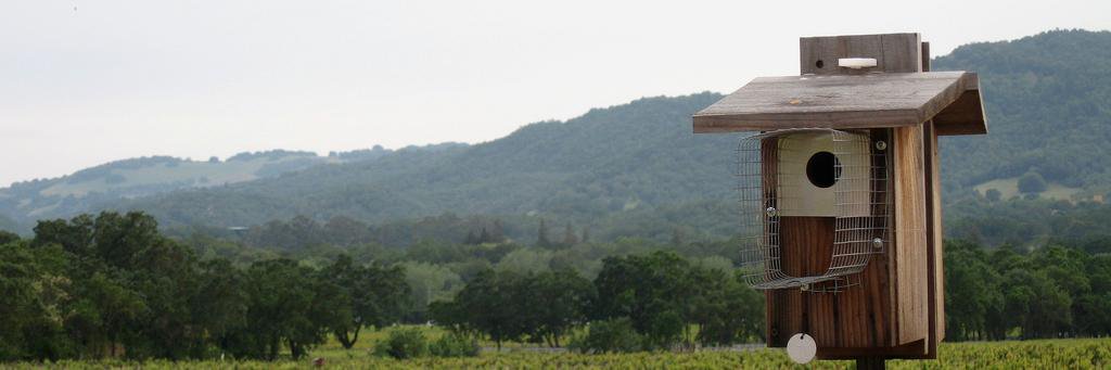AgroTree's profile banner image