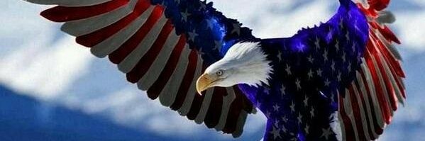 SeanWayneMc18's profile banner image