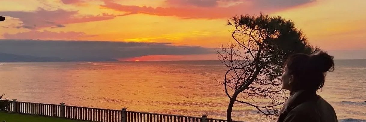 alesposperroni's profile banner image