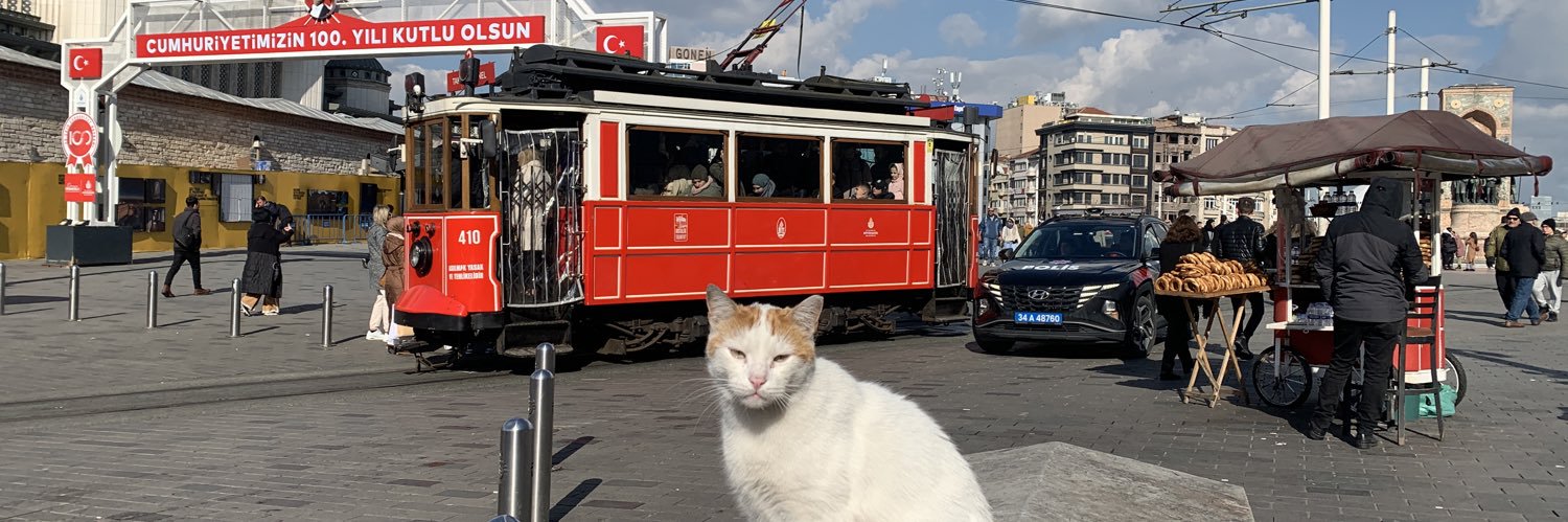 MehlikaBas71's profile banner image