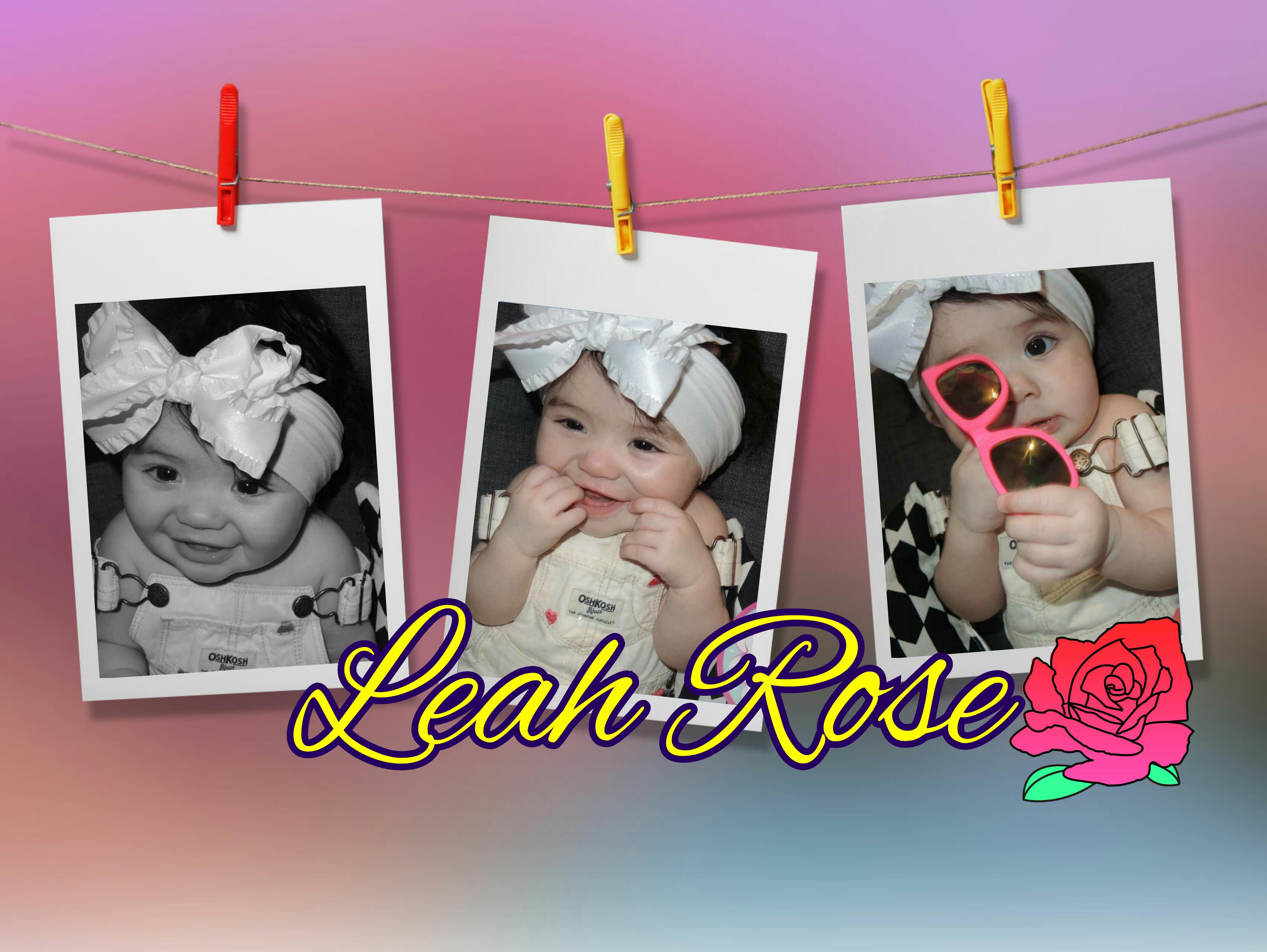 ladykiickz banner