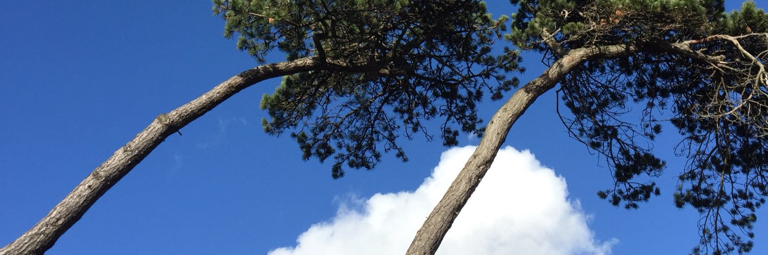 Sashatheb's profile banner image