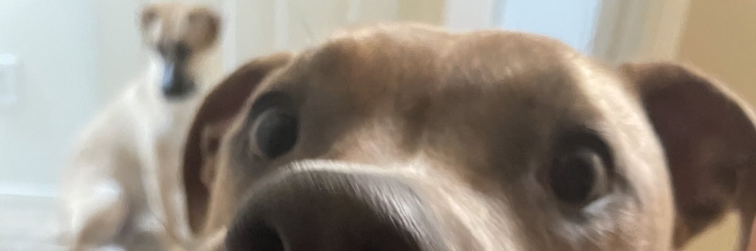 sourpatchsvd's profile banner image