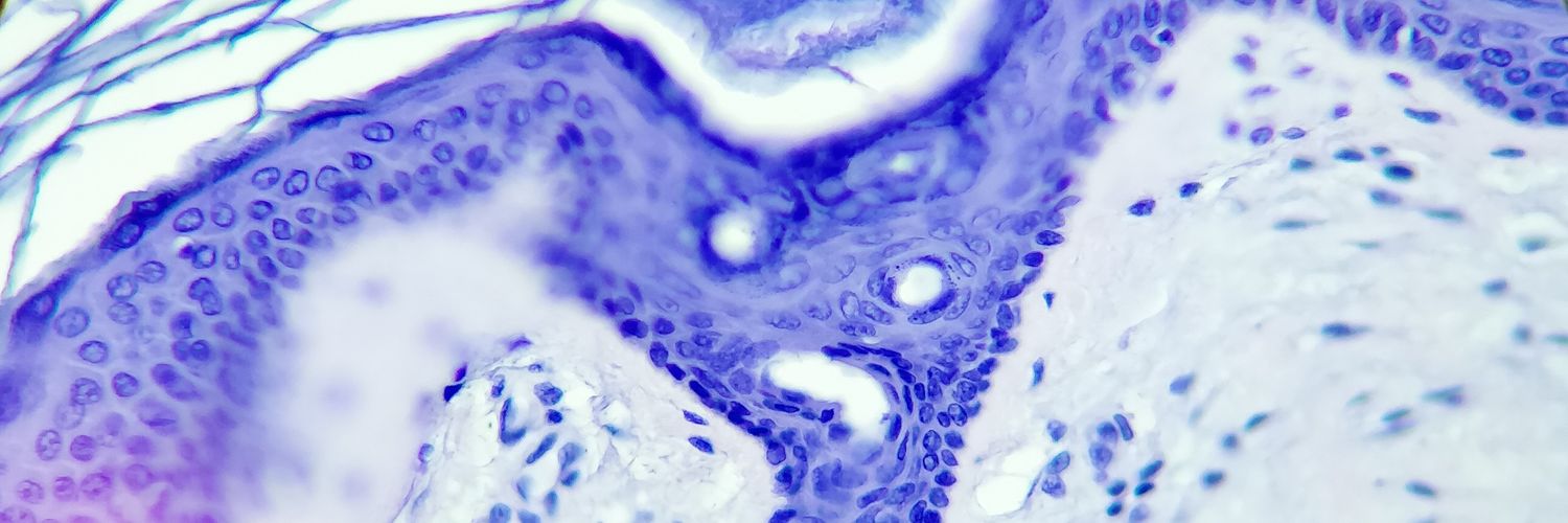 gescalise's profile banner image