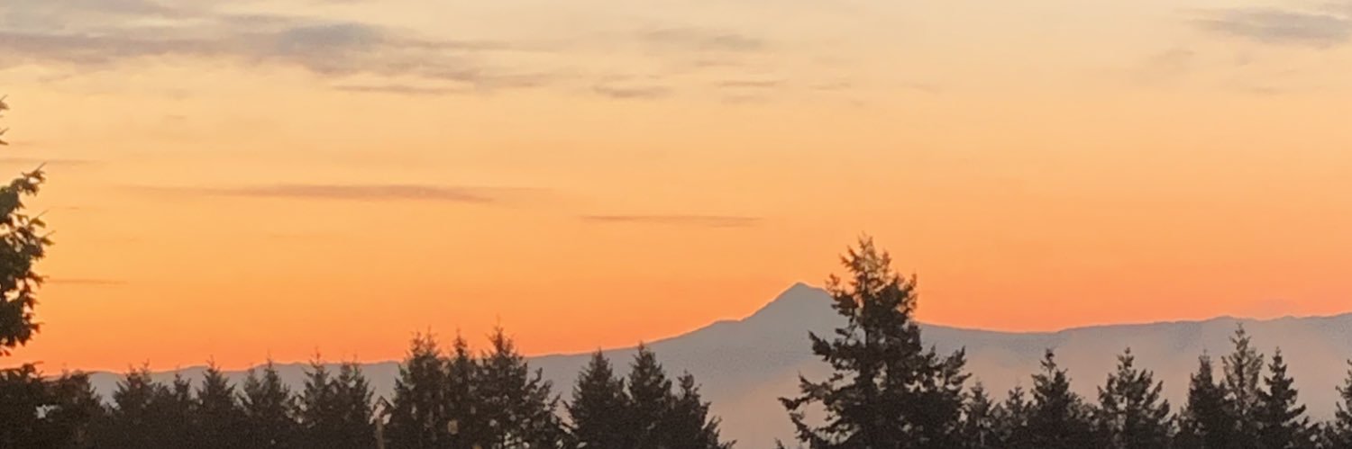 MichelleBromage's profile banner image