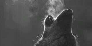 CesarRRD's profile banner image