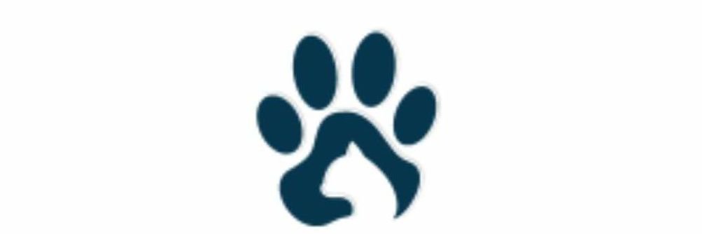 team_adopt's profile banner image