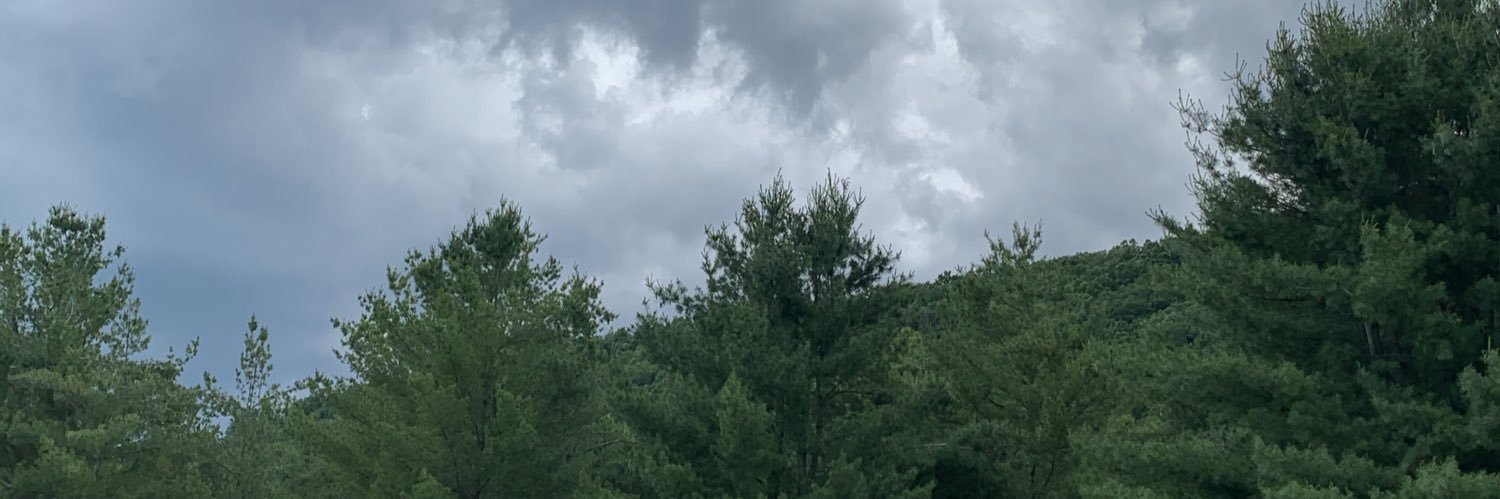 KimArnold6's profile banner image