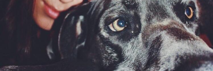 ♡ banner