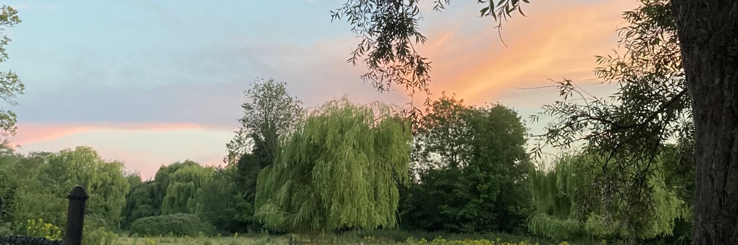 Amy Stuart 🧚🏻‍♀️ banner