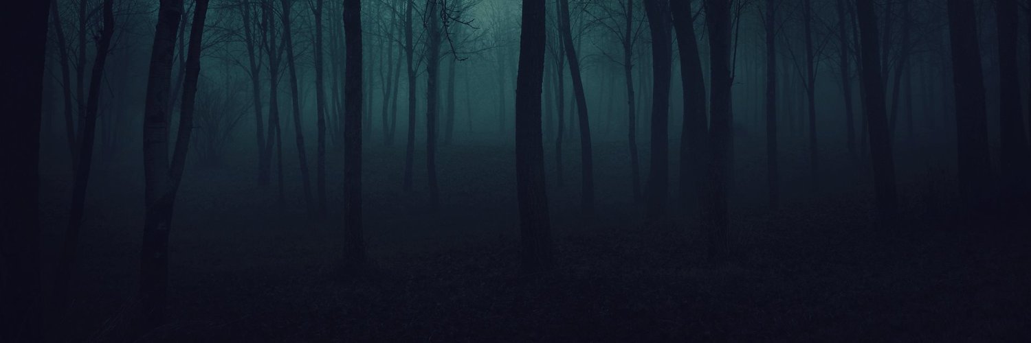 LuckyXIIIGaming's profile banner image