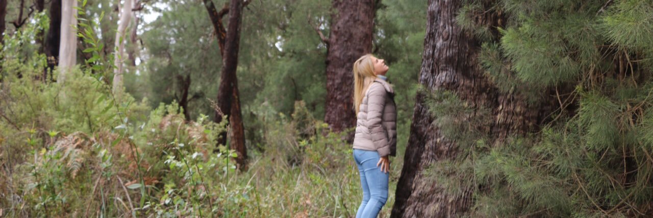harrietevansweb's profile banner image