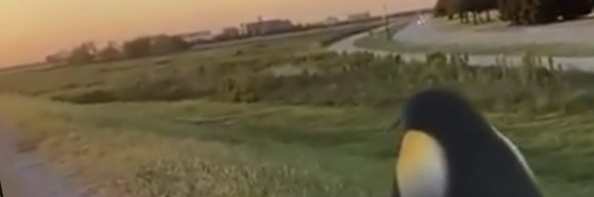 TylerAJohnson1's profile banner image