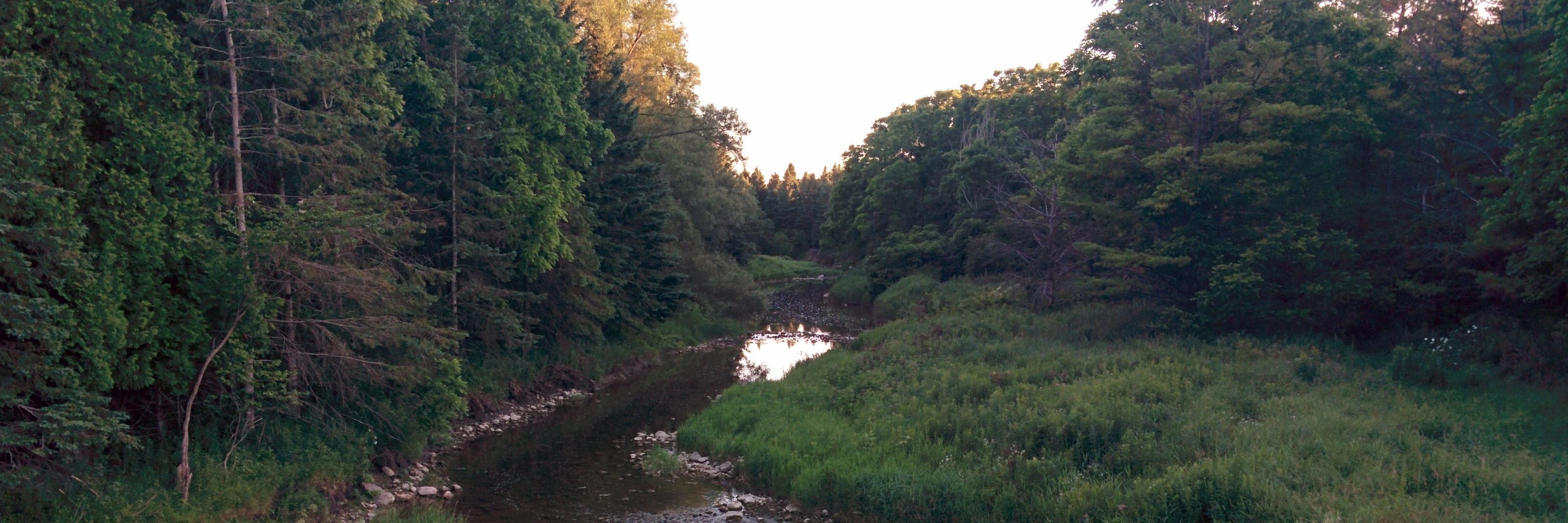 David Humphrey banner