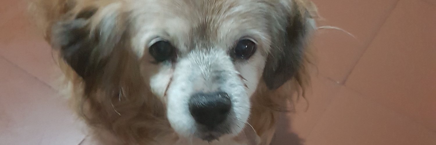 xavigr1979's profile banner image