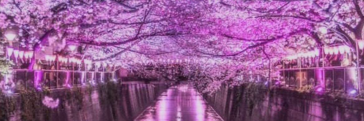 _shs_x's profile banner image