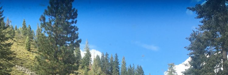 mackaytaylor5's profile banner image