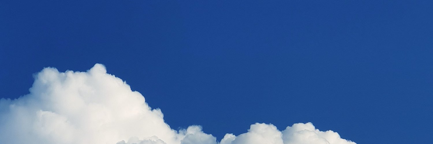 monicavlfr's profile banner image