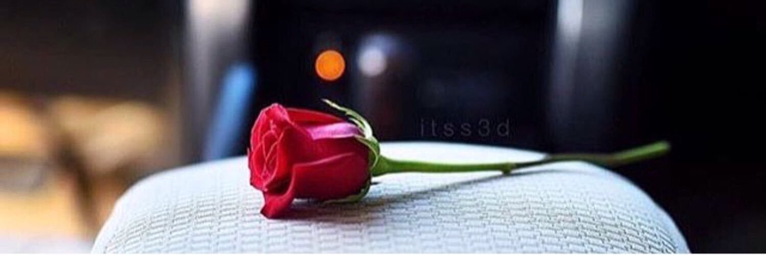 QueenEhsan's profile banner image