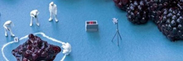 datafact24 Profile Banner