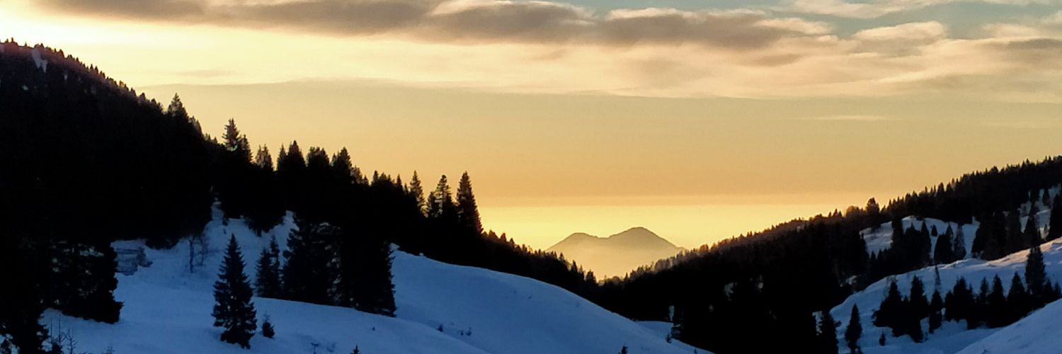 IVekkio's profile banner image